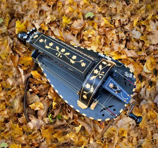 Black lute shaped hurdy gurdy lying on autumn leaves.
